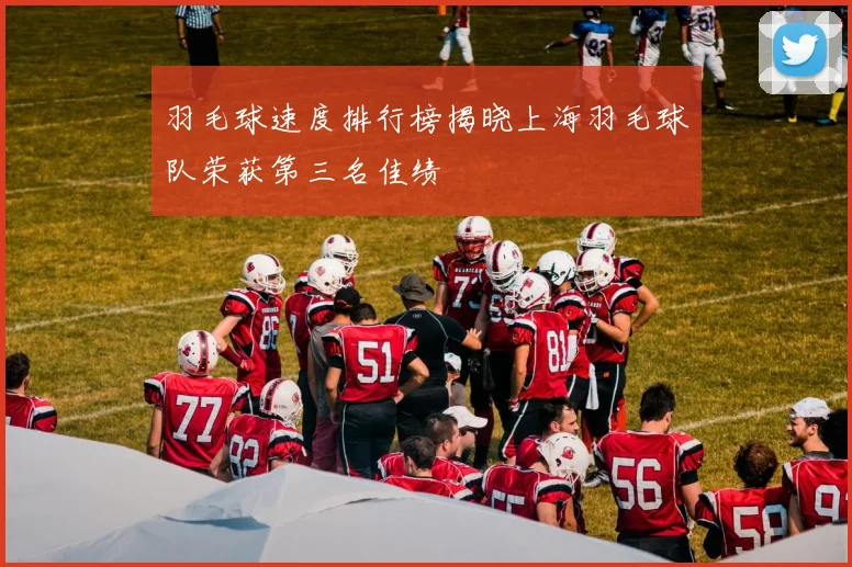 羽毛球速度排行榜揭晓上海羽毛球队荣获第三名佳绩