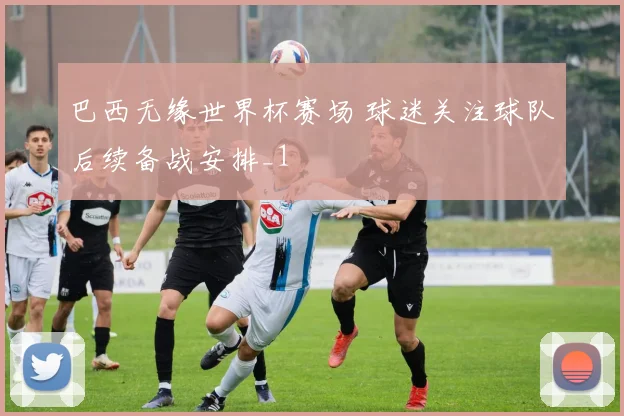 巴西无缘世界杯赛场 球迷关注球队后续备战安排_1